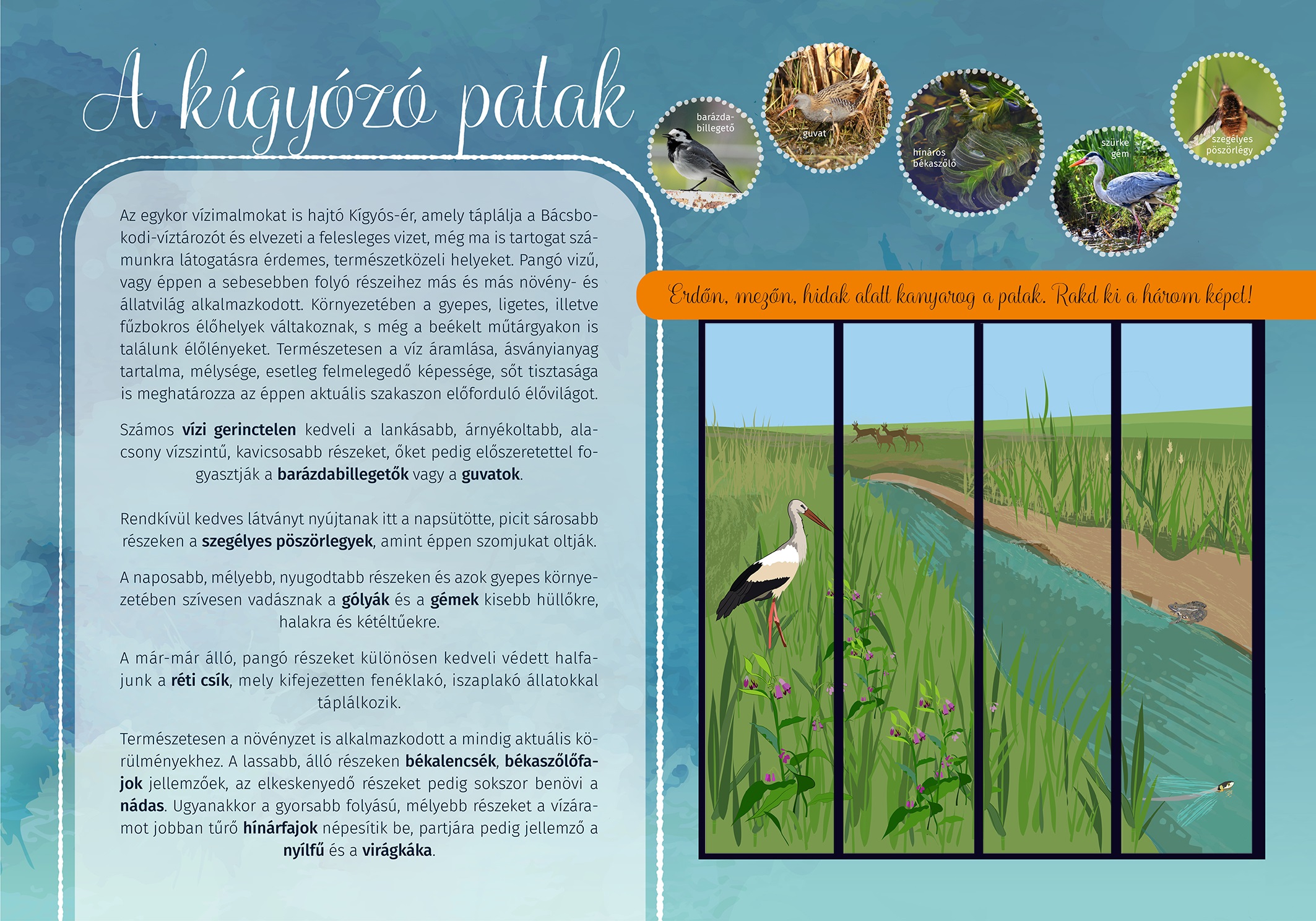 Bácsbokodi Kígyózó tanösvény, Bácsbokod